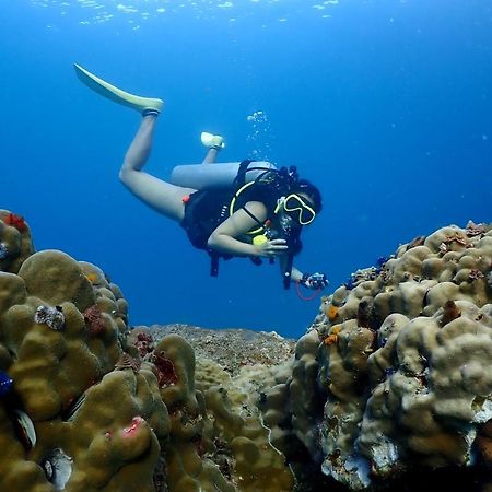 The Dearly Koh Tao Hostel-Padi 5 Star Dive Resort エクステリア 写真