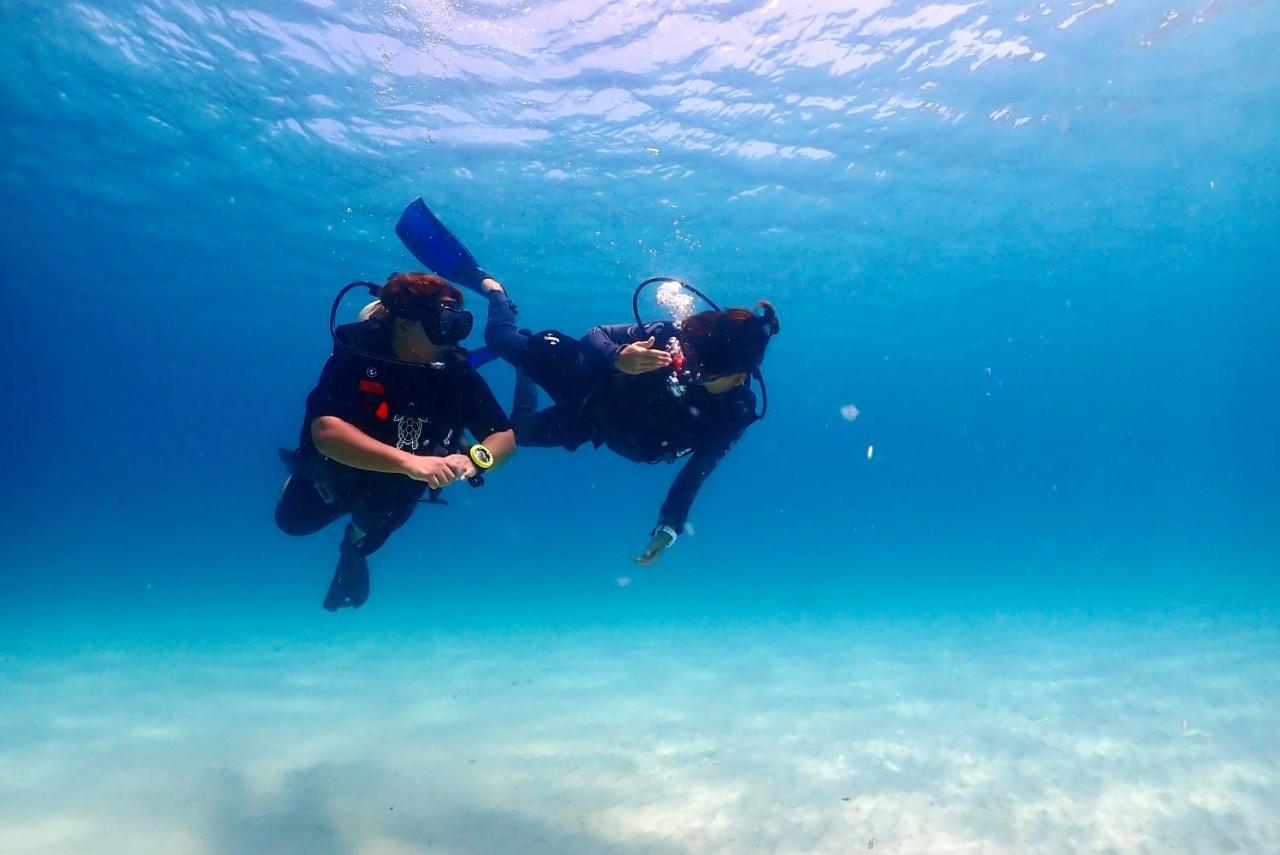 The Dearly Koh Tao Hostel-Padi 5 Star Dive Resort エクステリア 写真