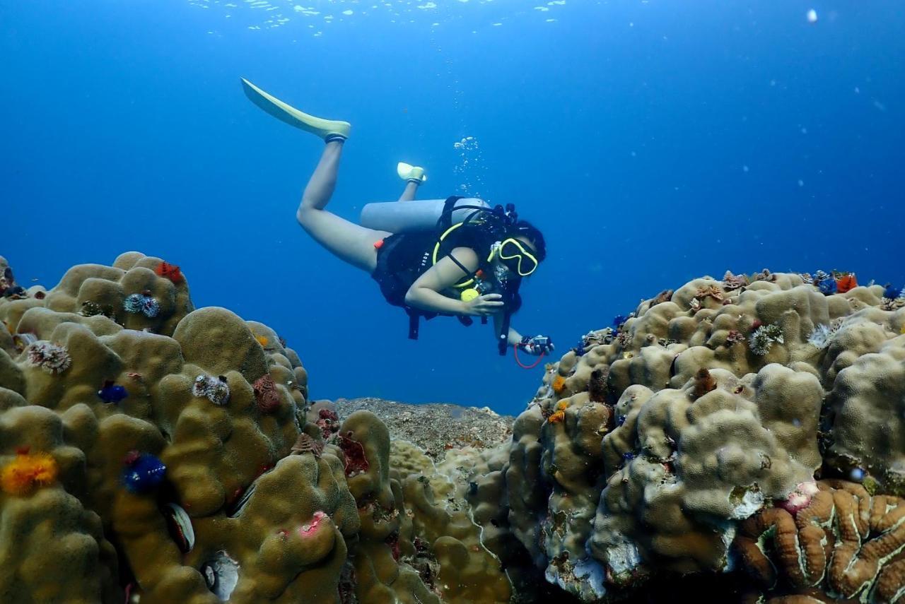 The Dearly Koh Tao Hostel-Padi 5 Star Dive Resort エクステリア 写真