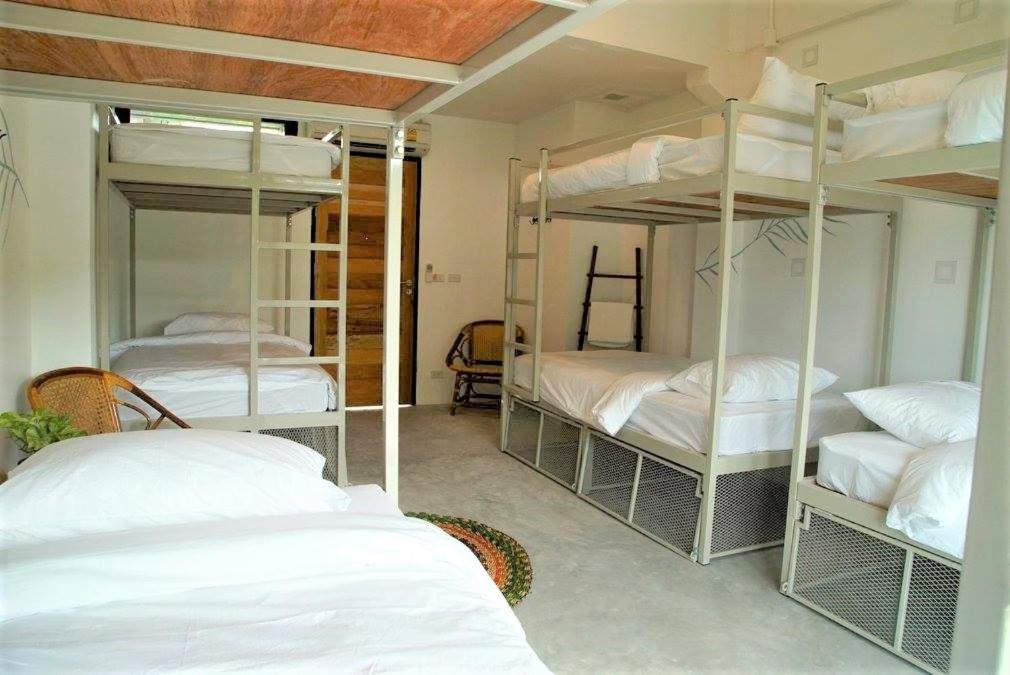 The Dearly Koh Tao Hostel-Padi 5 Star Dive Resort エクステリア 写真