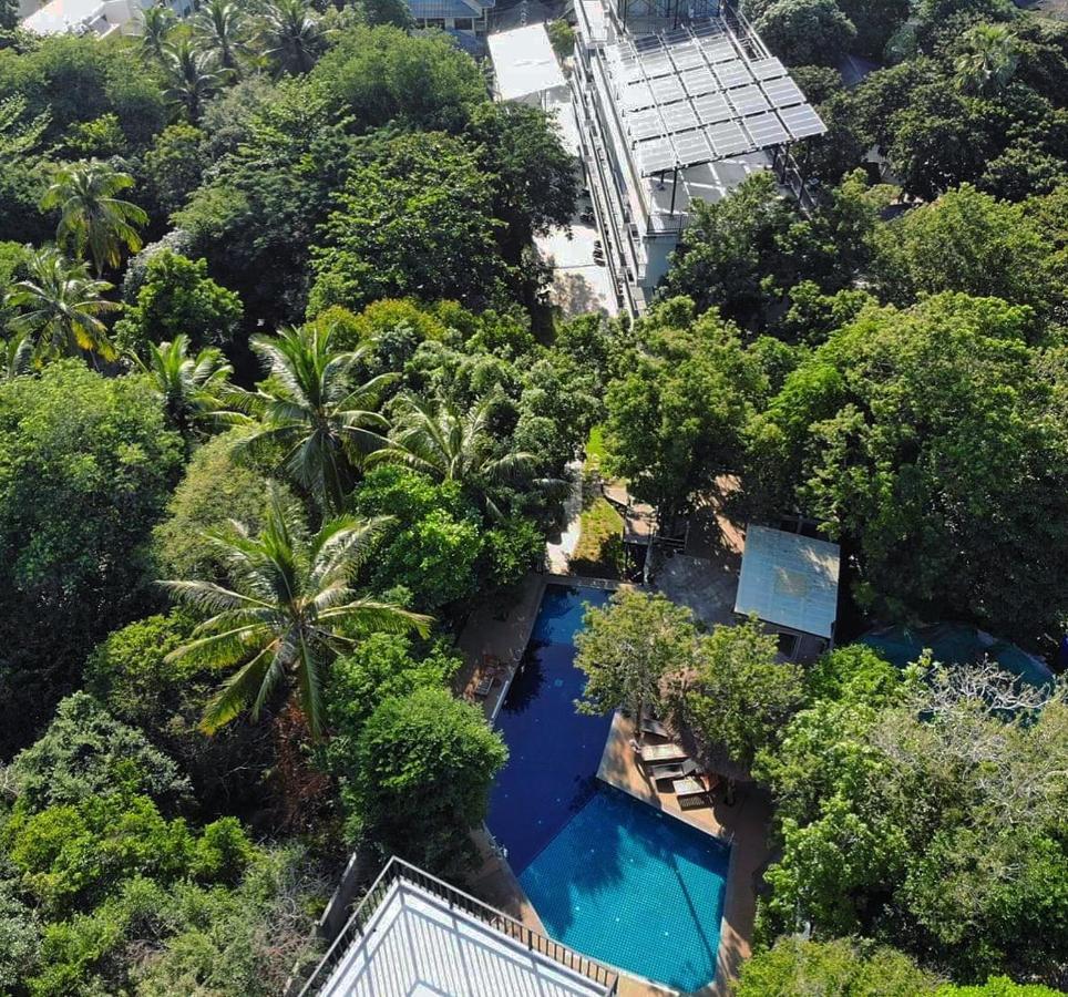 The Dearly Koh Tao Hostel-Padi 5 Star Dive Resort エクステリア 写真